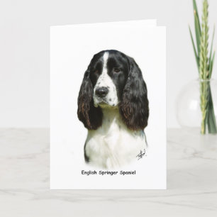 English Springer Spaniel 9J37D-20 Card
