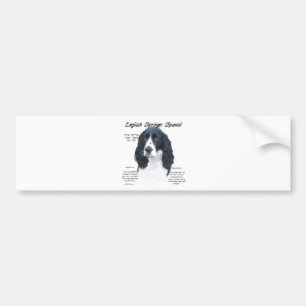 English Springer Spaniel (blk) History Design Bumper Sticker