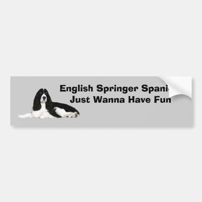 English Springer Spaniel Bumper Sticker (Front)