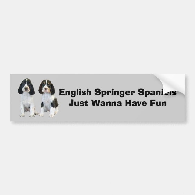 English Springer Spaniel Bumper Sticker (Front)