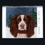 ENGLISH SPRINGER SPANIEL  CALENDAR<br><div class="desc">BEAUTIFUL ENGLISH SPRINGER SPANIEL  ART!</div>
