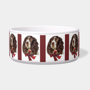 English Springer Spaniel Christmas