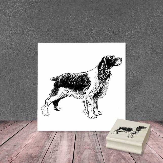 English Springer Spaniel Dog Breed Rubber Stamp (Creator Uploaded)