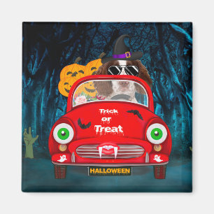 English Springer Spaniel dog Car Scary Halloween Magnet