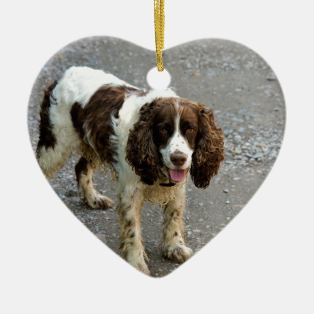 english springer spaniel full.png ceramic tree decoration (Front)