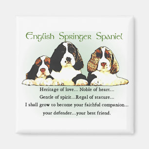 English Springer Spaniel Gifts Magnet