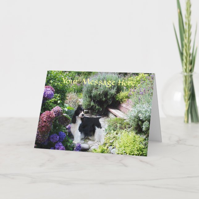 English Springer Spaniel Greeting Card (Front)