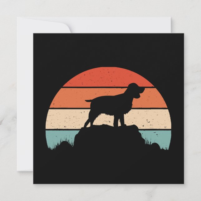 English springer spaniel invitation (Front)