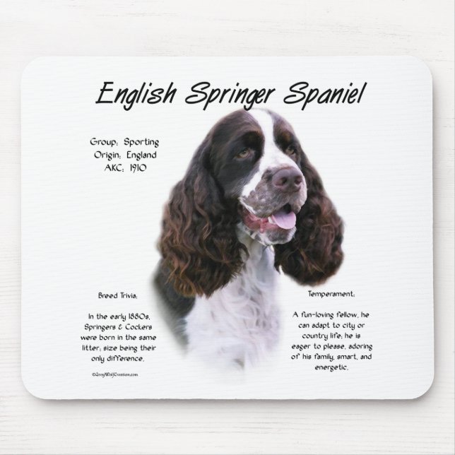 English Springer Spaniel (liver) History Design Mouse Pad (Front)