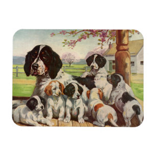 English Springer Spaniel mum and puppies Magnet