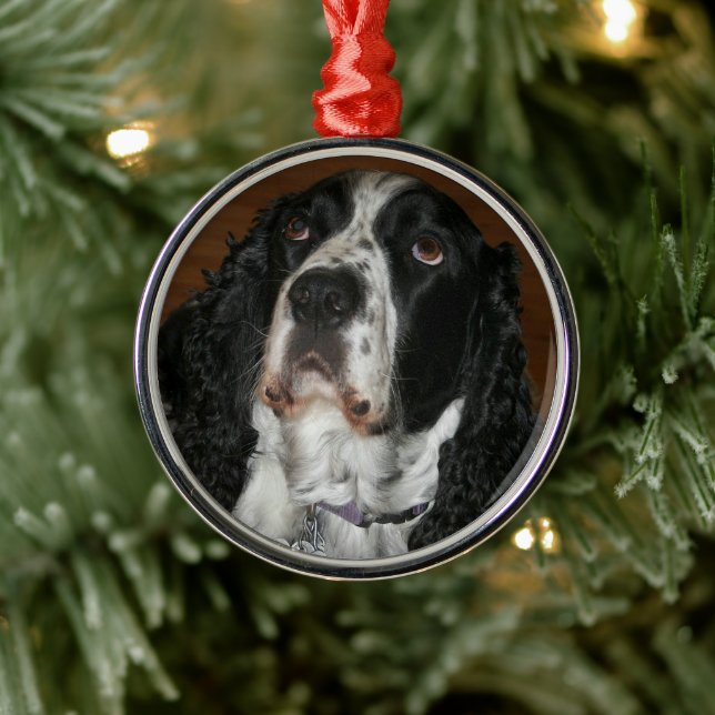 English Springer Spaniel Personalised Pet Photo Metal Tree Decoration (Tree)