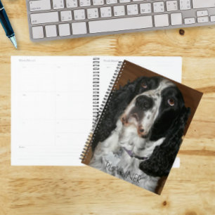 English Springer Spaniel Pet Photo Calendar Planner