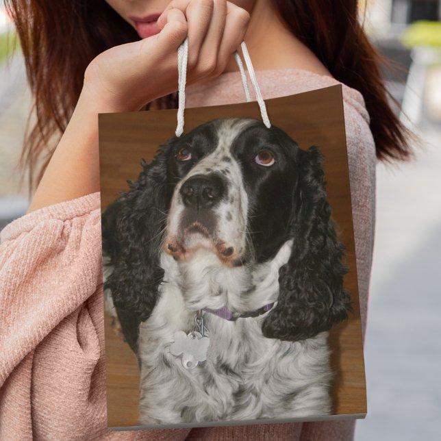 English Springer Spaniel Pet Photo Medium Gift Bag (In Situ)
