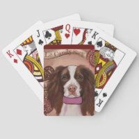 English Springer Spaniel   