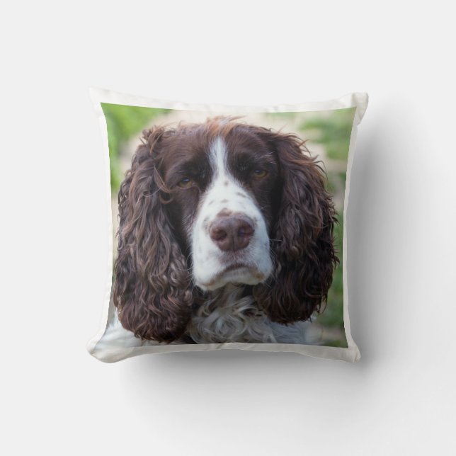 english springer spaniel.png cushion (Front)