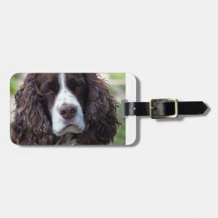 english springer spaniel.png luggage tag