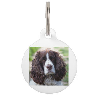 english springer spaniel.png pet tag
