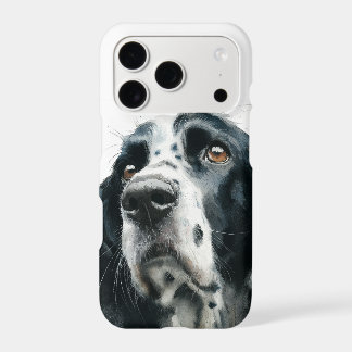 English springer spaniel portrait with ticking