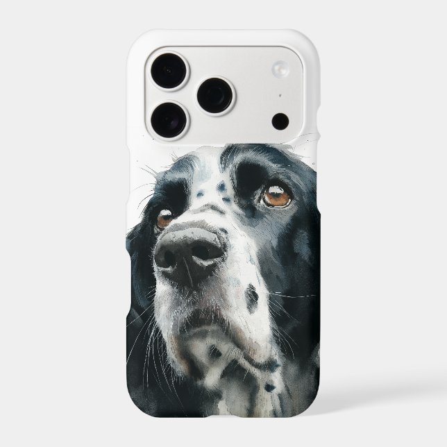 English springer spaniel portrait with ticking (Back)