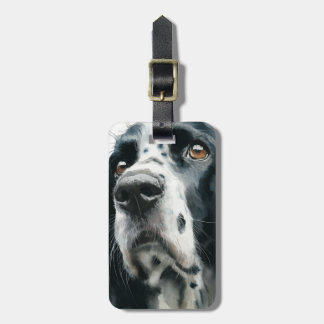 English springer spaniel portrait with ticking luggage tag