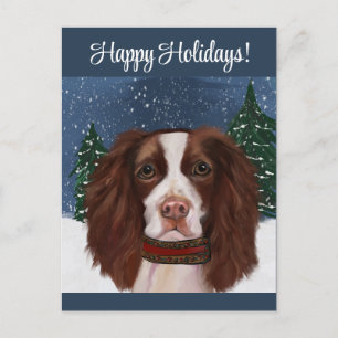 ENGLISH SPRINGER SPANIEL     POSTCARD