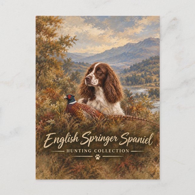 English Springer Spaniel  Postcard (Front)