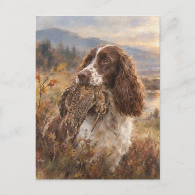 English Springer Spaniel  Postcard (Front)