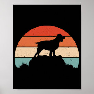 English springer spaniel poster