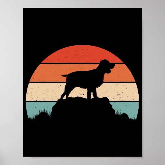 English springer spaniel poster (Front)