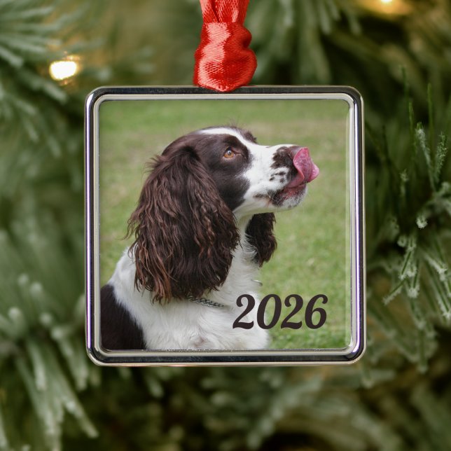 English Springer Spaniel Sitting, Licking Lips Metal Tree Decoration (Tree)