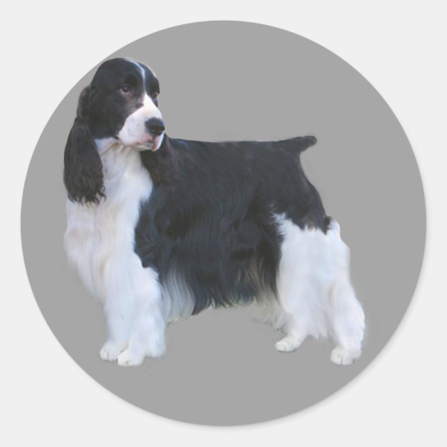 English Springer Spaniel Sticker (Front)