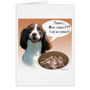 English Springer Spaniel Turkey