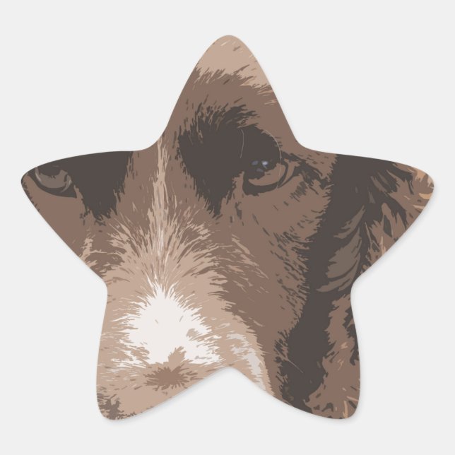 English Springer Star Sticker (Front)