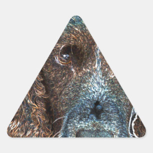 English Springer Triangle Sticker