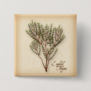 English Thyme Herb 15 Cm Square Badge