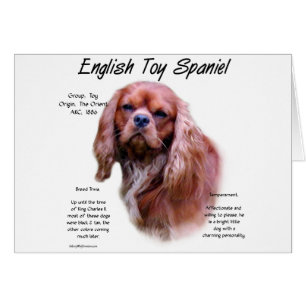 English Toy Spaniel (ruby) History Design