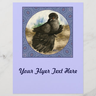 English Trumpeter Pigeon Blue Frame Flyer