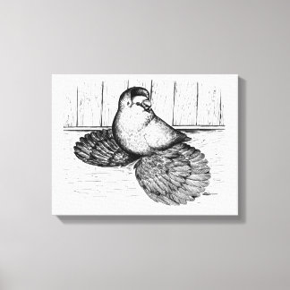 English Trumpeter Pigeon Ink Artwork Canvas Print