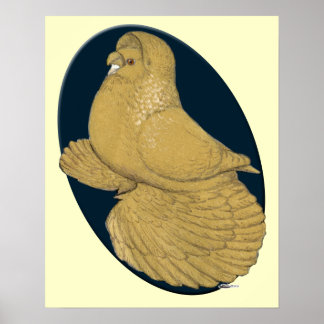 English Trumpeter Pigeon: Yellow Oval Poster