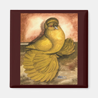 English Trumpeter Pigeon Yellow Self Magnet