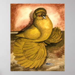 English Trumpeter Pigeon Yellow Self Poster