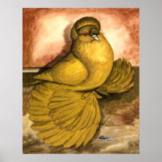 English Trumpeter Pigeon Yellow Self Poster