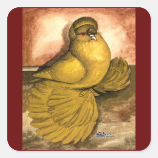English Trumpeter Pigeon Yellow Self Square Sticker