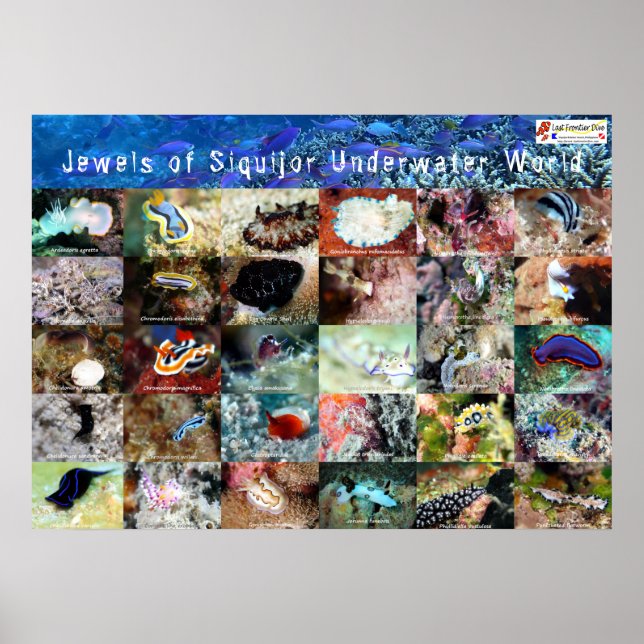 English version: Jewels of Under Water Siquijor Poster (Front)