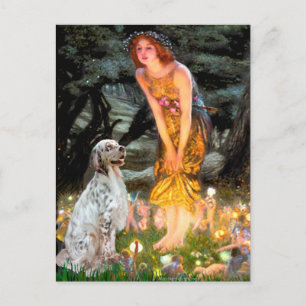 EnglishSetter 1 - MidEve Postcard