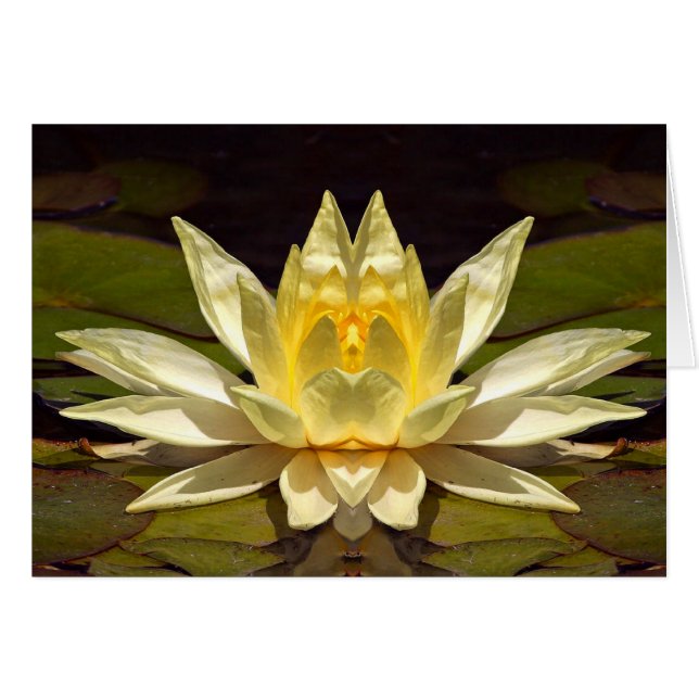Enhanced Lotus1 Card (Front Horizontal)
