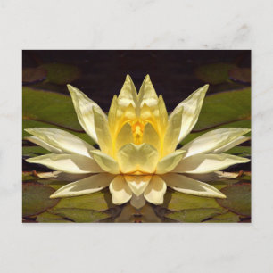 Enhanced Lotus1 Postcard