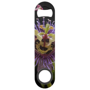Enigmatic Beauty: the Purple Passion Flower