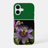 Enigmatic Beauty: the Purple Passion Flower