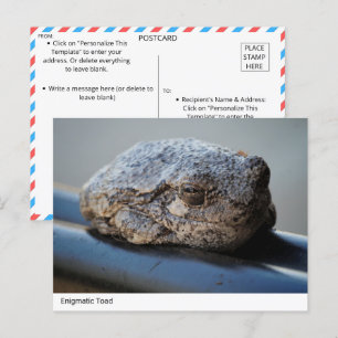 Enigmatic Toad Postcard